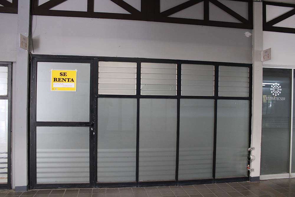 C’-3 Gentis Consultoria