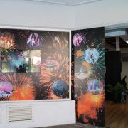 D-7 Skylight Pirotecnia