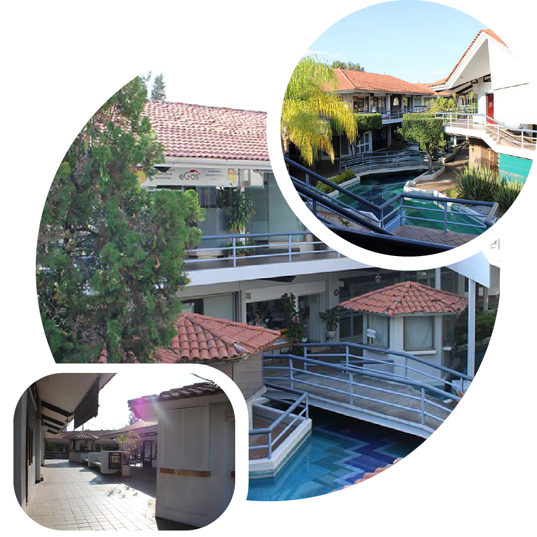 plazza_Mesa de trabajo 1